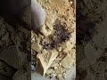 Yellow Mud Relaxing Asmr #asmr #clay #Relaxing Sounds #oddlysatisfying