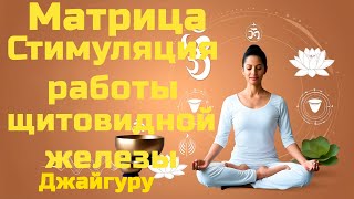 🎧🎼Стимуляция работы щитовидной железы. Виброакустическая терапия с Джайгуру. 💻ВАУ "Партнёр-Ол"