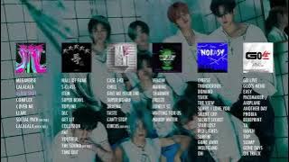 NO ADS - Stray Kids FULL ALBUM PLAYLIST