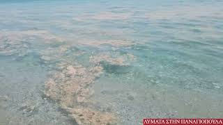 Κλειστή προσωρινή λόγω λυμάτων η παραλία στην Παναγιοπούλα.