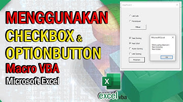 Menggunakan OptionButton dan CheckBox pada Macro VBA Excel