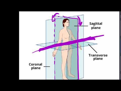 3D Anatomical Planes & Axes of Motion #OMM #OMT #COMLEX #wedabest