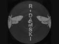 R-Damski - Acoustic Nature (Sub-Stance Cut)