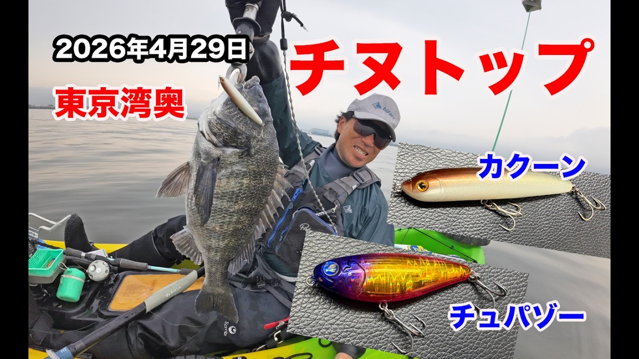 April 29, 2026: Caught a 45cm+ black sea bream on a topwater lure