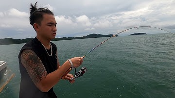 Câu Cá Vầu,vàng áng |Cá Chim Biển| đảo hòn 9 Vân Đồn |phần 3| nên cá to phê