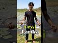 🎣 मछली पकड़ने का desi तरीका | #minivlog #dailyvlog #fishing #bigfish #desitarika #fishinglife