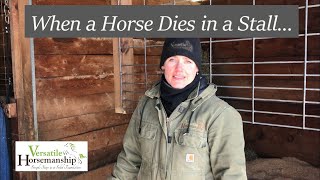 When A Horse Dies In A Stall... // Versatile Horsemanship