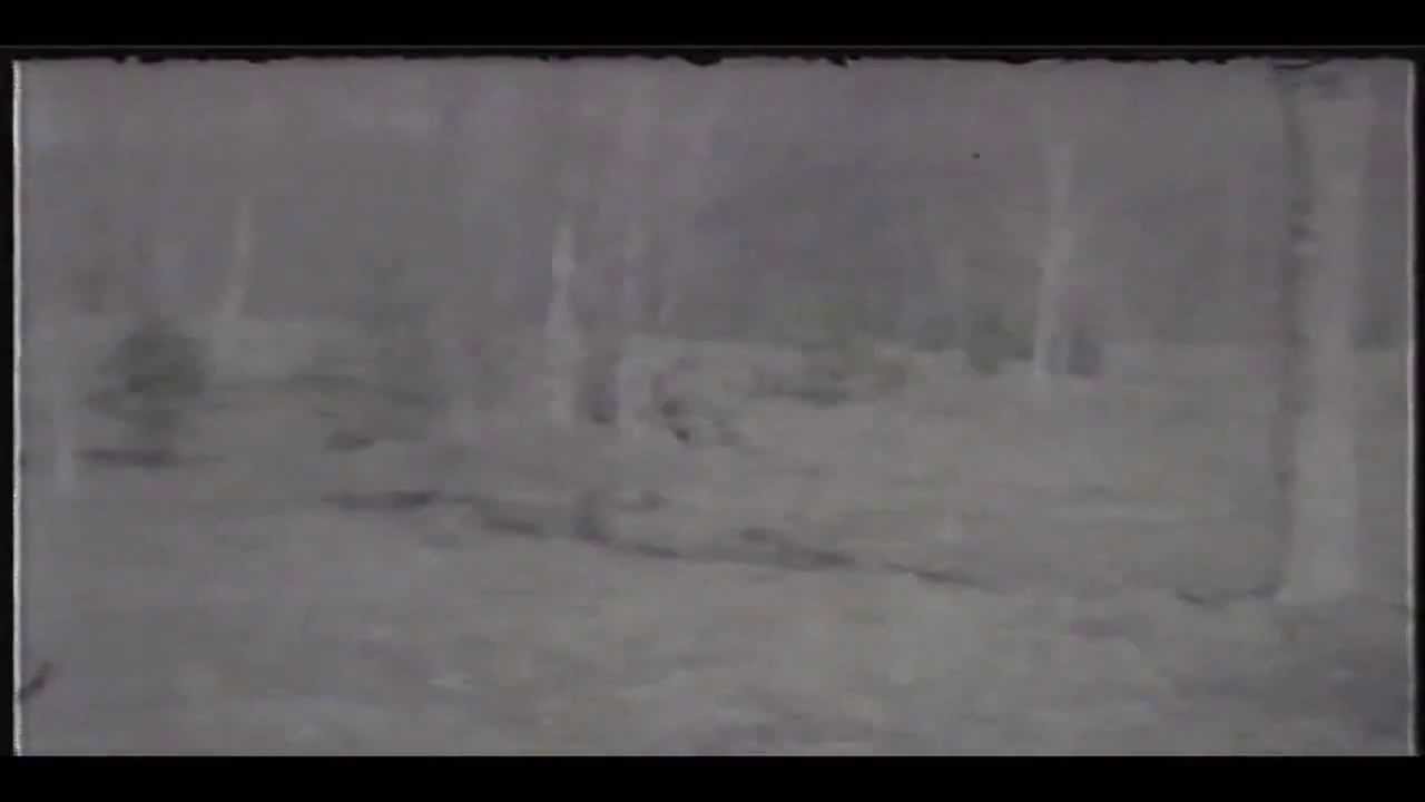 The Legend of Michigan's Dogman Gable Film Full  HD)