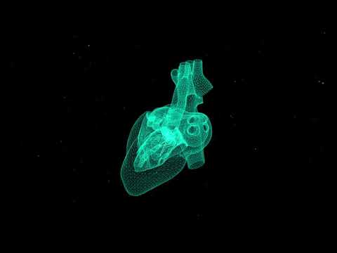 VOLTE - I Am Not Alone