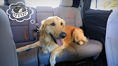 Dog Seat Covers For Honda CR-V