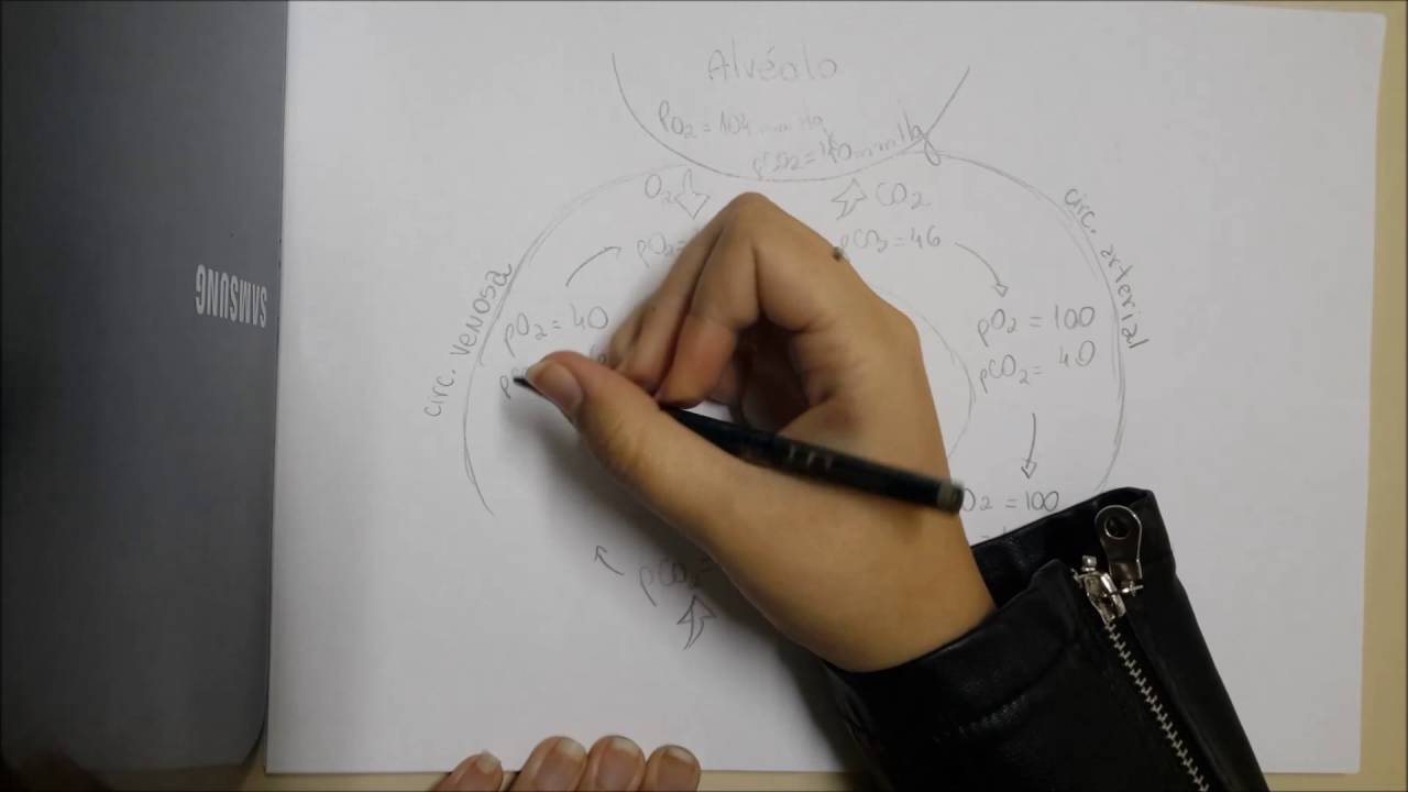 Respiração em Altas Altitudes - YouTube Artur Caminero