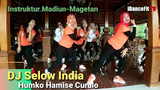 DJ Selow India Humko Hamise Curalo | Bolly Dance Fitness | iDanceFit TV