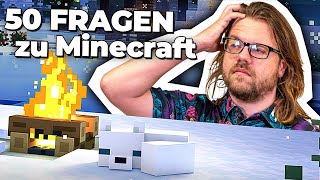 Was hat DLDS uns GELEHRT | 50 Fragen zu Minecraft