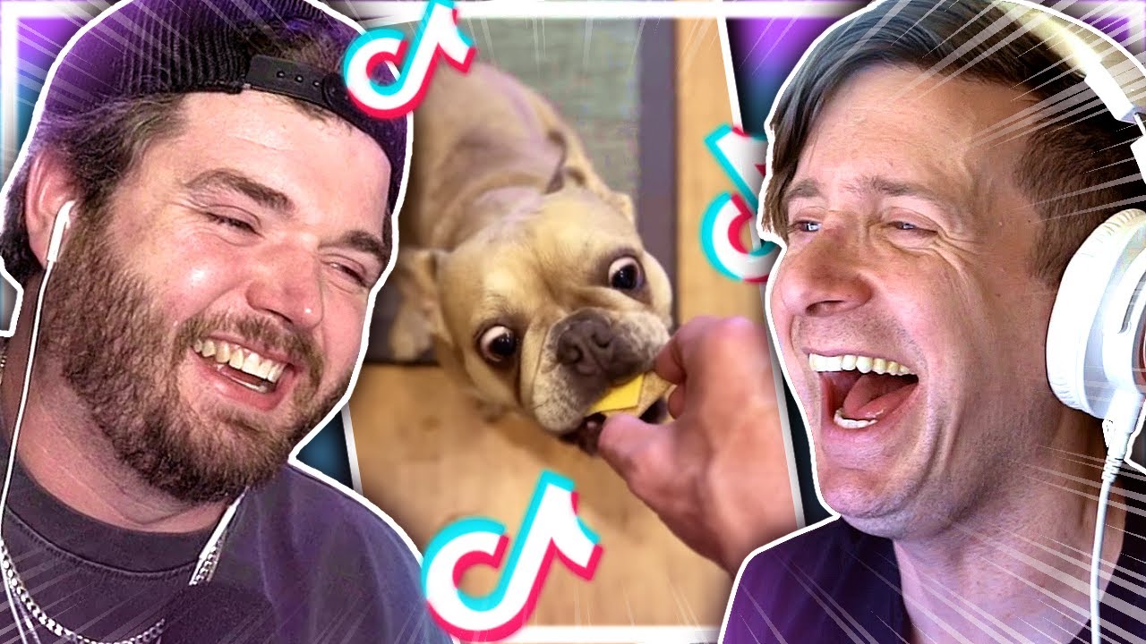 Animal TikToks that make us squawk like old dogs