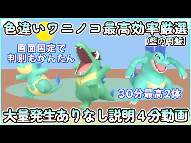 色違いワニノコ最高効率＆画面固定 4分まとめ動画 30分最高2体