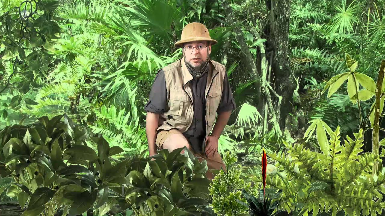 Mobile minute Information foraging.mp4 YouTube