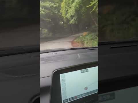 climbing mountain by the car