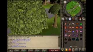 RuneScape 2007 Commentary- My 2006Scape Story