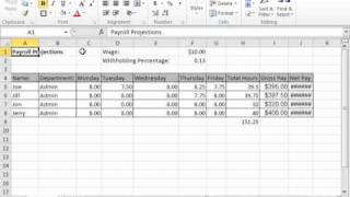 Excel 2010 Tutorial Copying All Formatting from Cells to Another Microsoft Training Lesson 7.4