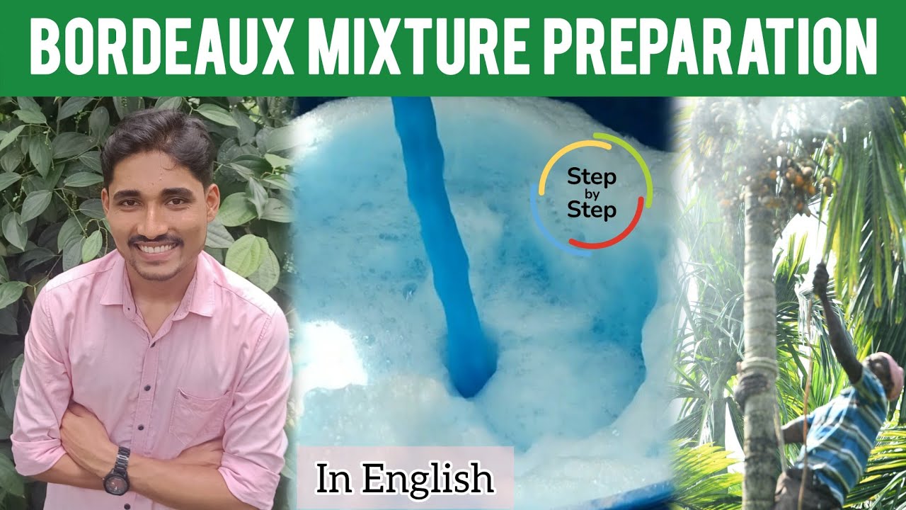 Bordeaux Mixture Preparation and Spraying(Multiple crops) | Everything ...