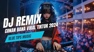 Ciinan Bana | VIRAL TIKTOK 2024 | DJ REMIX TERBARU 2024 ( MUSIC)