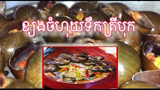 ខ្យងចំហុយទឹកត្រីបុក