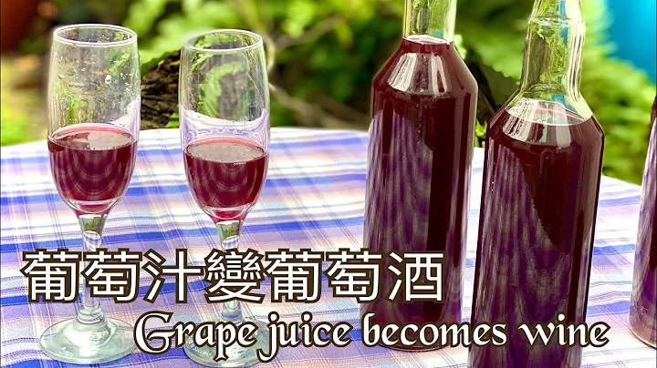 葡萄汁变葡萄酒Grape juice becomes wine简单的小实验 - 天天要闻