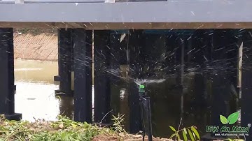 Ấn Độ: Béc tưới bù áp AQ206PC - tưới thảm cỏ