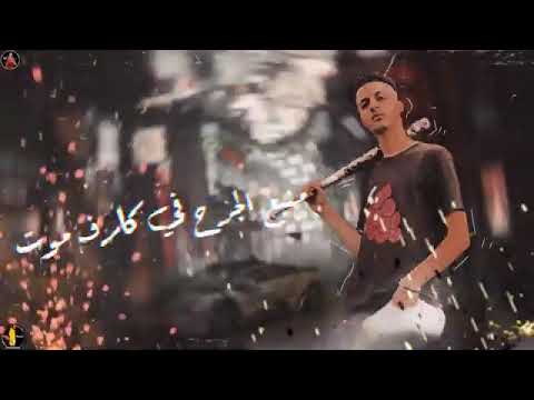 القرود بتندب الاسود