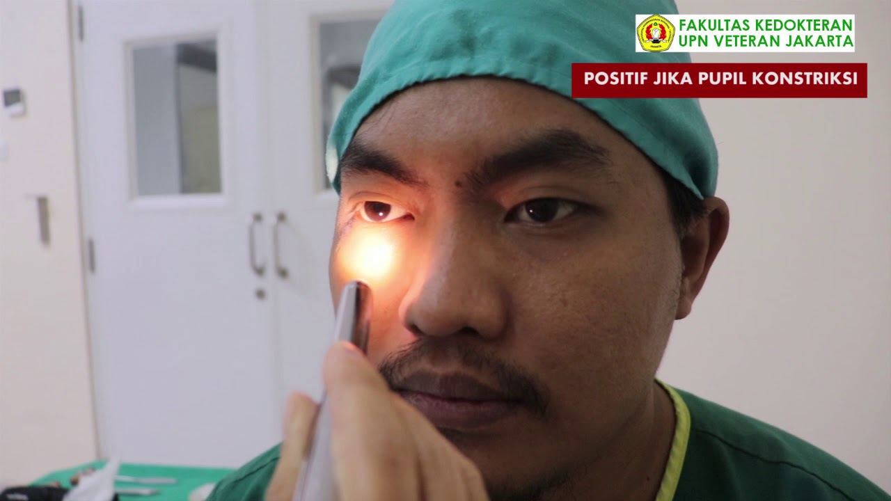 PEMERIKSAAN NERVUS CRANIALIS PENTING DIPELAJARI