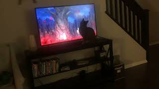Cat loves “Shangri-La Frontier!” by SelenaTheTabby 241 views 3 months ago 49 seconds