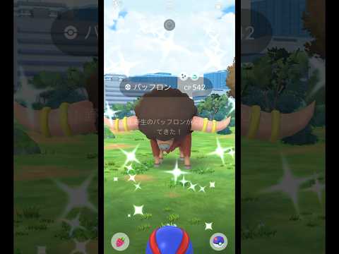 【ポケモンGO】バッフロンも色違いきたよ🥹 #ポケモンgo #バッフロン