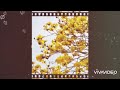 beautiful hk#shorts #trending #viral #tiktok
