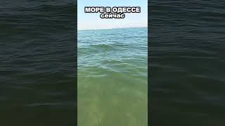 Море В Одессе 10.10.2025 – Состояние Воды, Пляж, Погода Сегодня, Тёплое Лето И Отдых 🌊☀️🏖️ 4