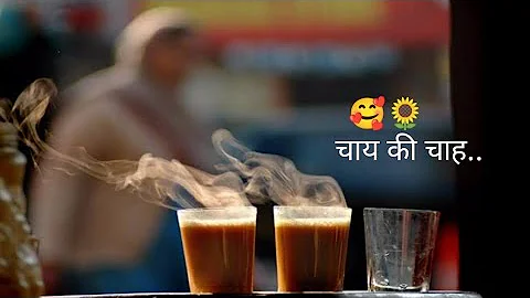 tea lover status,tea lover whatsapp status, चाय की चाह, चाय और जिन्दगी 😘🌻