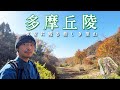 【多摩丘陵】午後からも歩ける癒しの里山|新宿から45分!【山ごはん:ローストビーフアボカドサンド】_2025.11.30