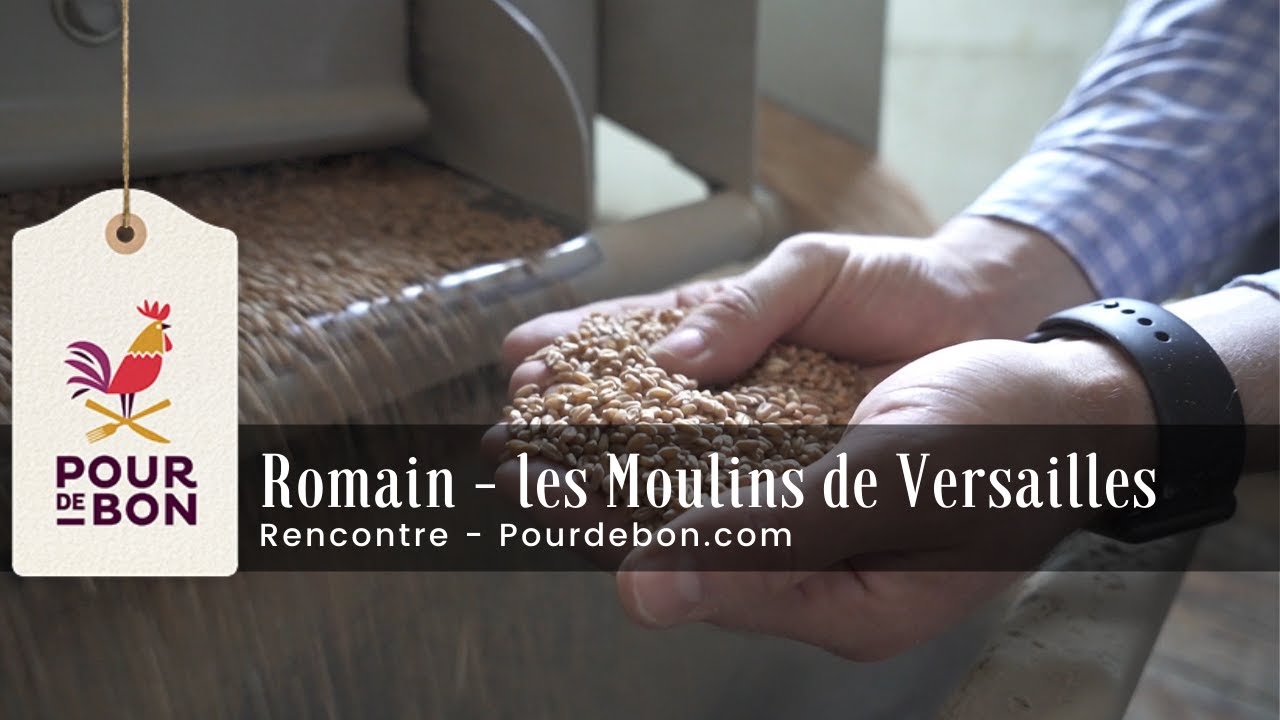 Farine Gruaudor T55 - 1kg – Moulins de Versailles