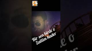 Harun Çakır Mustafa. Bor Muzik Sigara Yaktırır2017