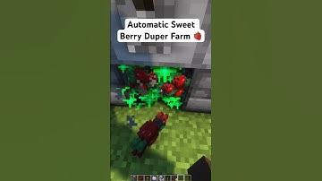Automatic Sweet Berry Duplication Farm in Minecraft #viral #minecraftfarm #minecrafttutorial
