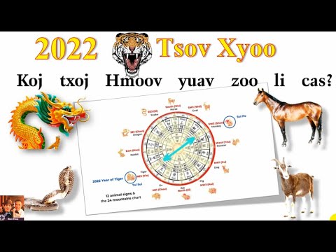 Video: Yuav Txhawb Nqa Txoj Hauv Kev Zoo Li Cas