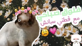 فلوق صباحي مع قطتي 