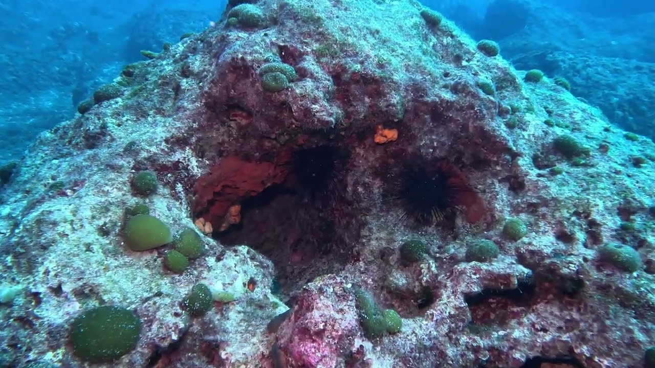 Diving to Dia island, Crete