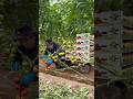 Tomato farming #tips #farming #tomato