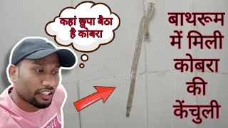 Bathroom Me Mili Kobra Ki Kenchuli Farewells Party