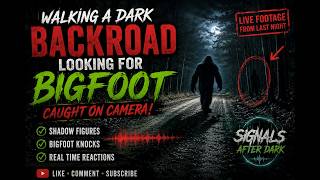 WE HEARD BIGFOOT KNOCKS ON A DARK BACKROAD… Then We Saw SHADOW FIGURES 👀