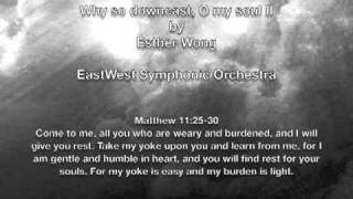 Why so downcast, O my soul II
