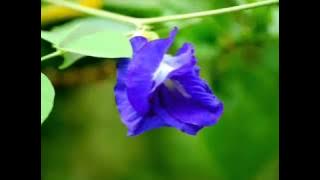 Ai Shang Ni Deng Yu Ai Shang Le Cuo