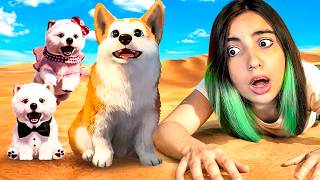 PRECISO AJUDAR ESSES CACHORRINHOS A ENCONTRAR O DONO... MAS ELES ESTÃO EM UM DESERTO.