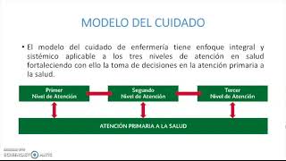 1 Proceso de Atención de Enfermería. Modelo del cuidado de la enfermería en  México - YouTube