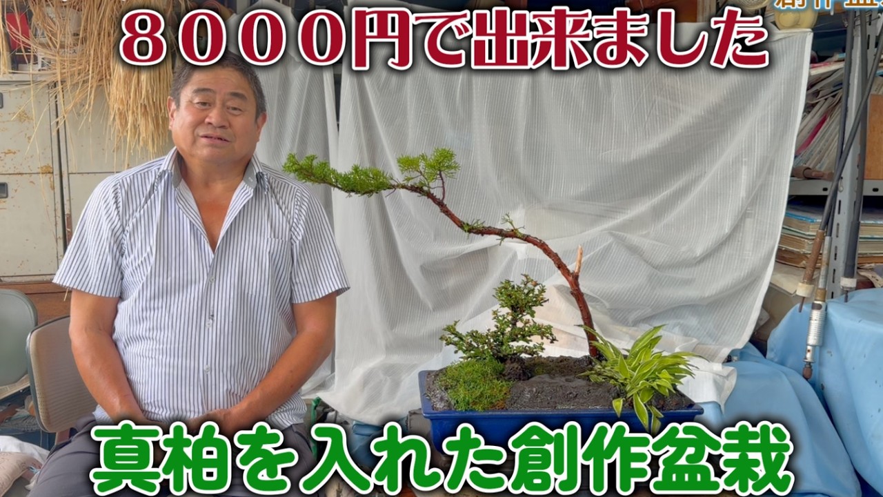 Bonsai] Creative Bonsai with Shimpaku Juniper [Made it for 8,000